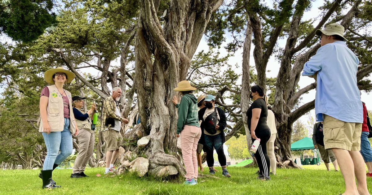 Monthly nature walks at Fairhaven Memorial Park & Mortuary honor the living