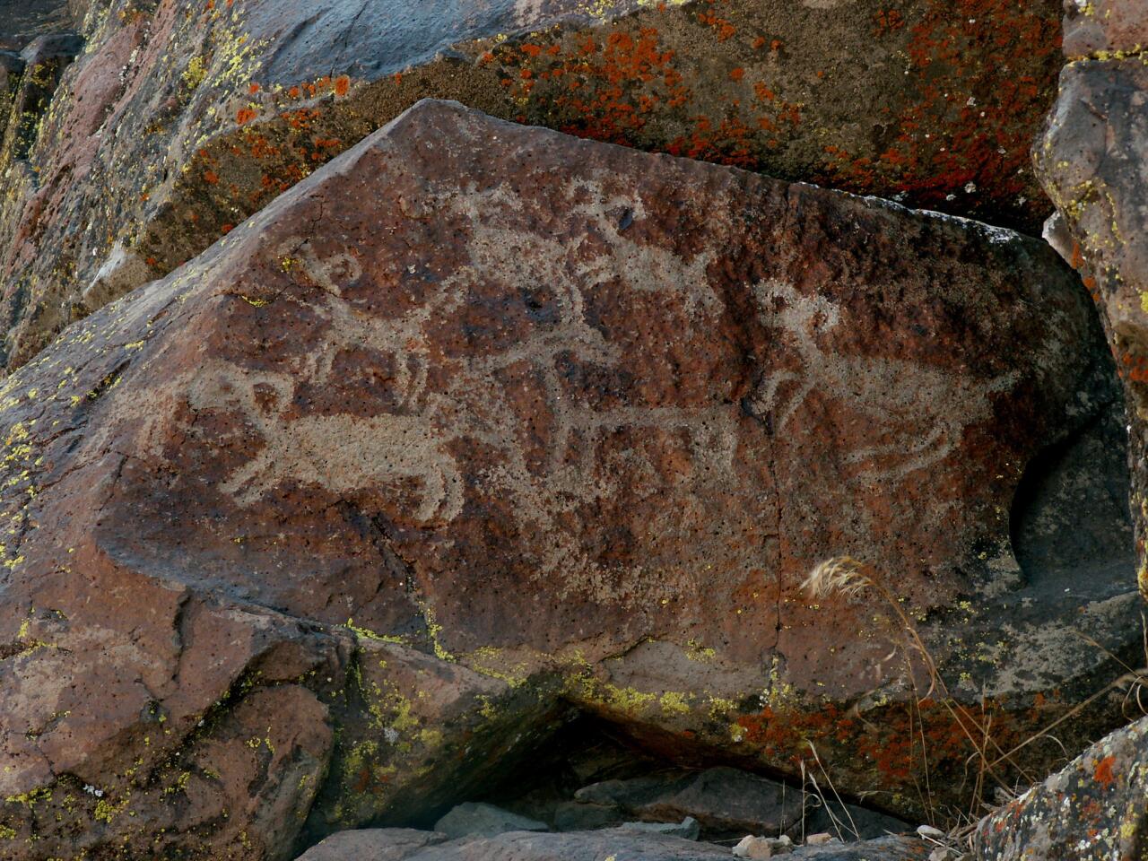 No one knows for sure who decorated Little Petroglyph Canyon with images out of a dreamscape, some thought to be more than 10,000 years old. But the area is probably the richest Amerindian rock-art site in the hemisphere.