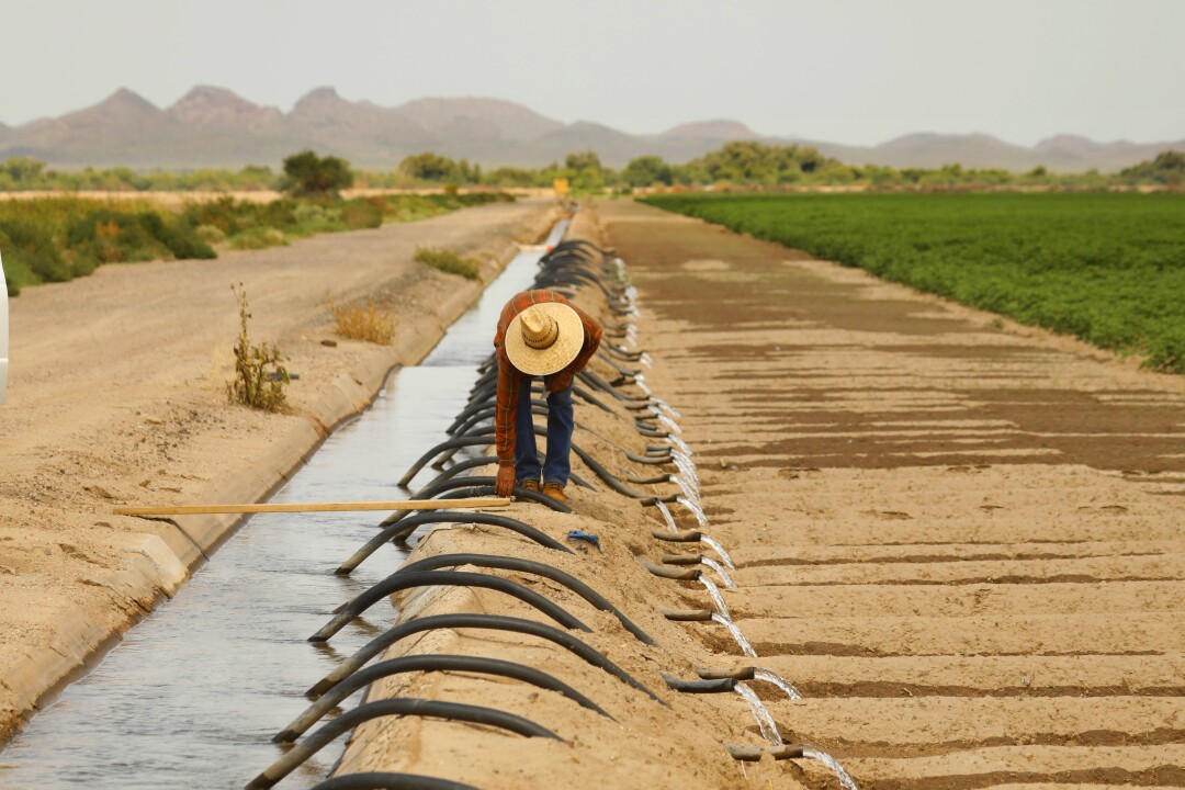 A worker moves irrigation tubes on a farm in Pinal County.