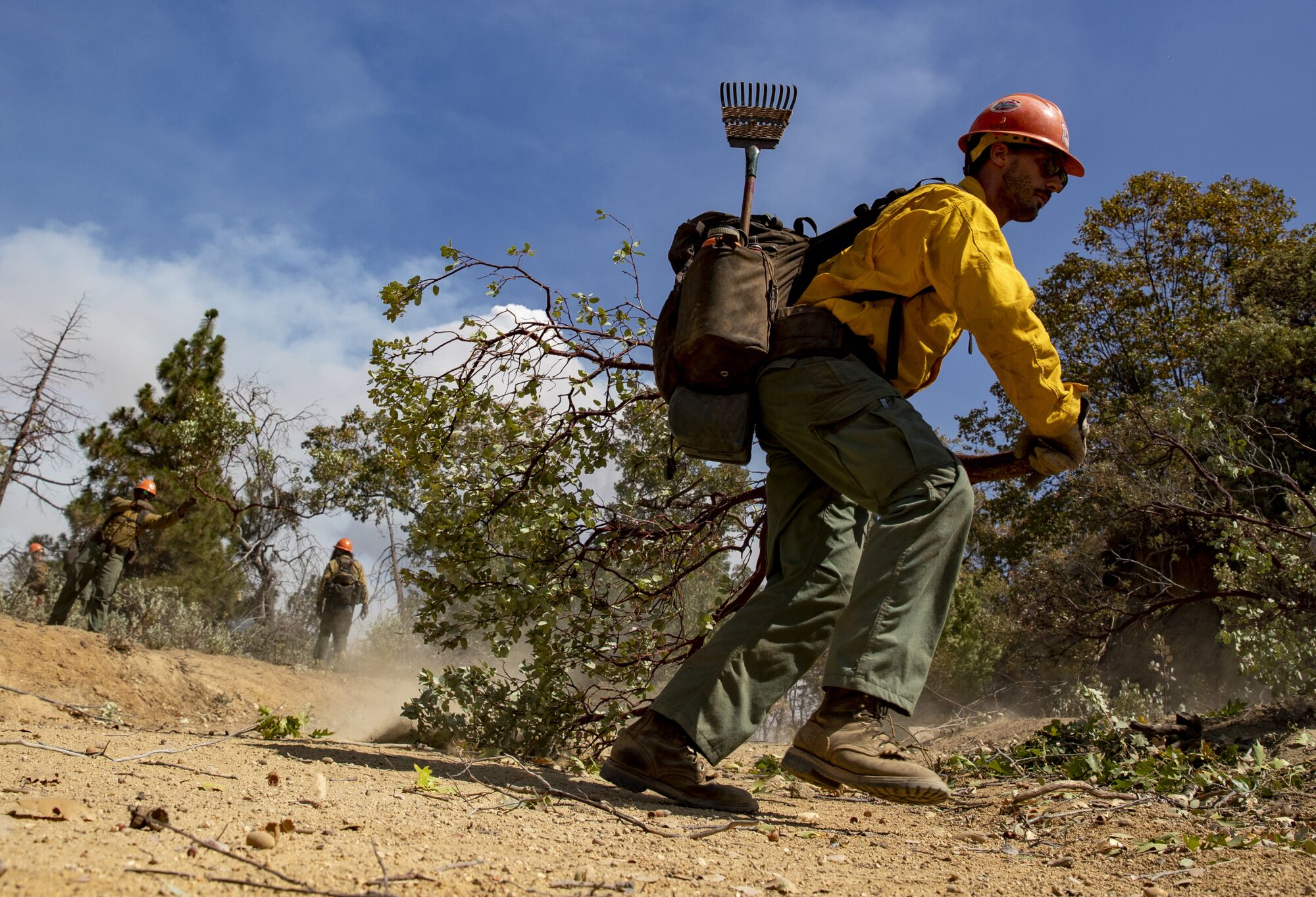 Firefighters clear brush