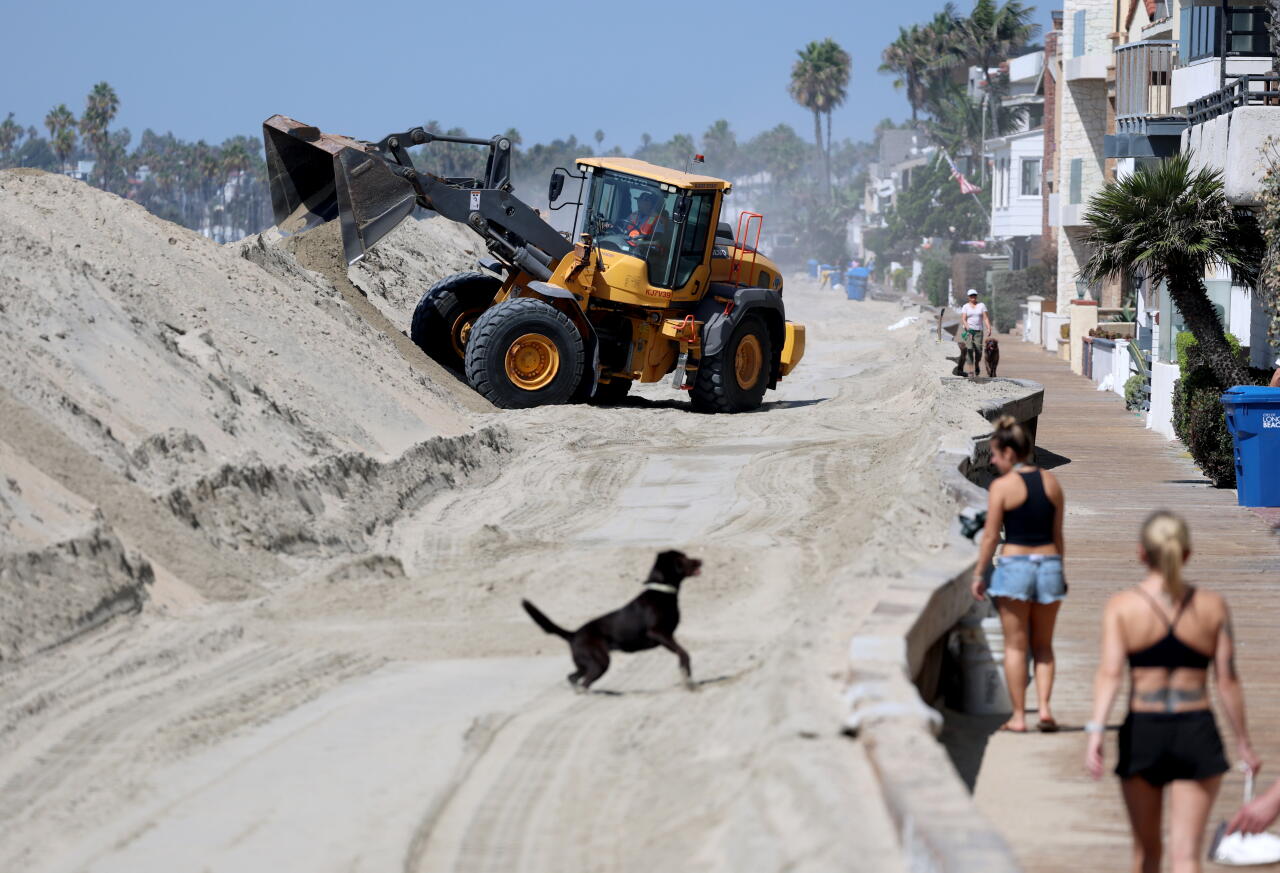 A dog plays in the sand in Long Beach as heavy equipment operators construct berms to protect homes