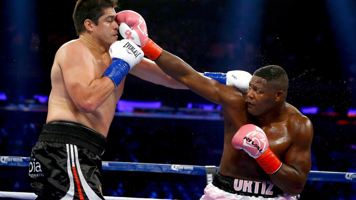 Luis Ortiz lands a jab to the face of Matias Ariel Vidondo during their WBA interim heavyweight title fight at Madison Square Garden on Oct. 17, 2015.