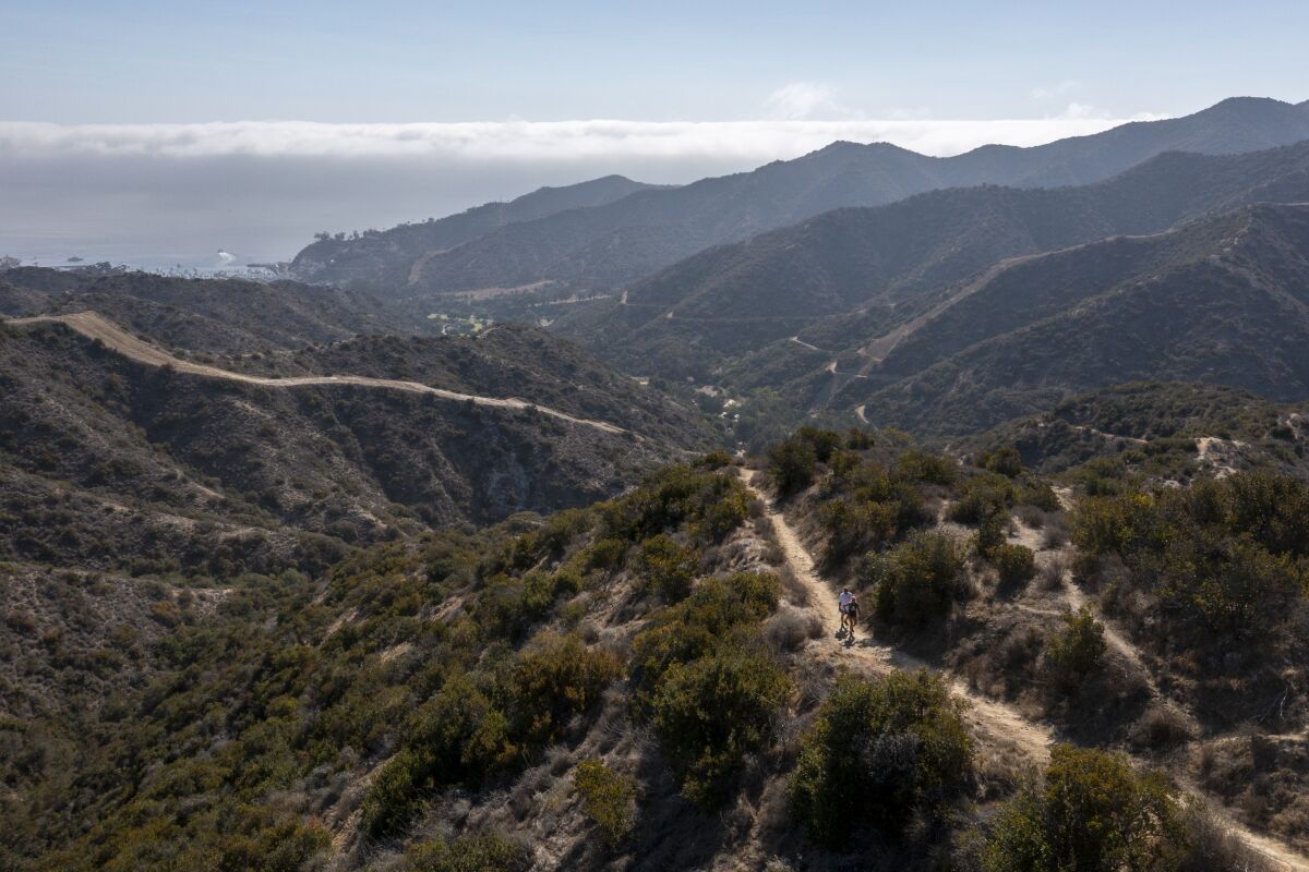 Hikers walk along the Trans-Catalina Trail