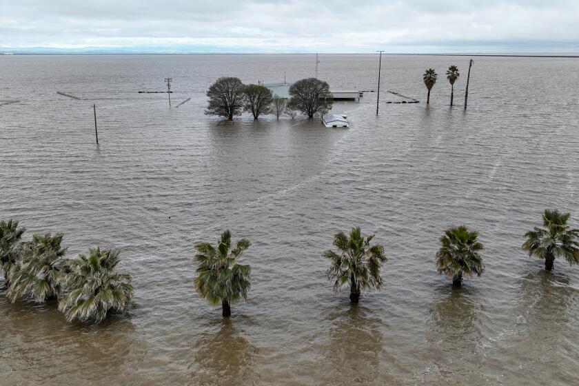 Corcoran, CA, Thursday, March 30, 2023 - The El Rico Pipe Yard on 10th Ave., remains submerged as the resurgent Tulare Lake continues to expand. (Robert Gauthier/Los Angeles Times)