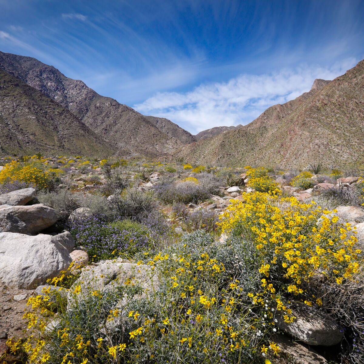The Borrego Palm Canyon Trail in Anza-Borrego Desert State Park, shown here in 2019.