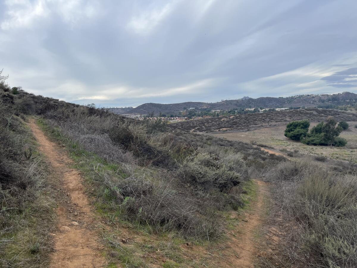 At this intersection, at about 0.9 miles, head down the trail toward the wide path below.