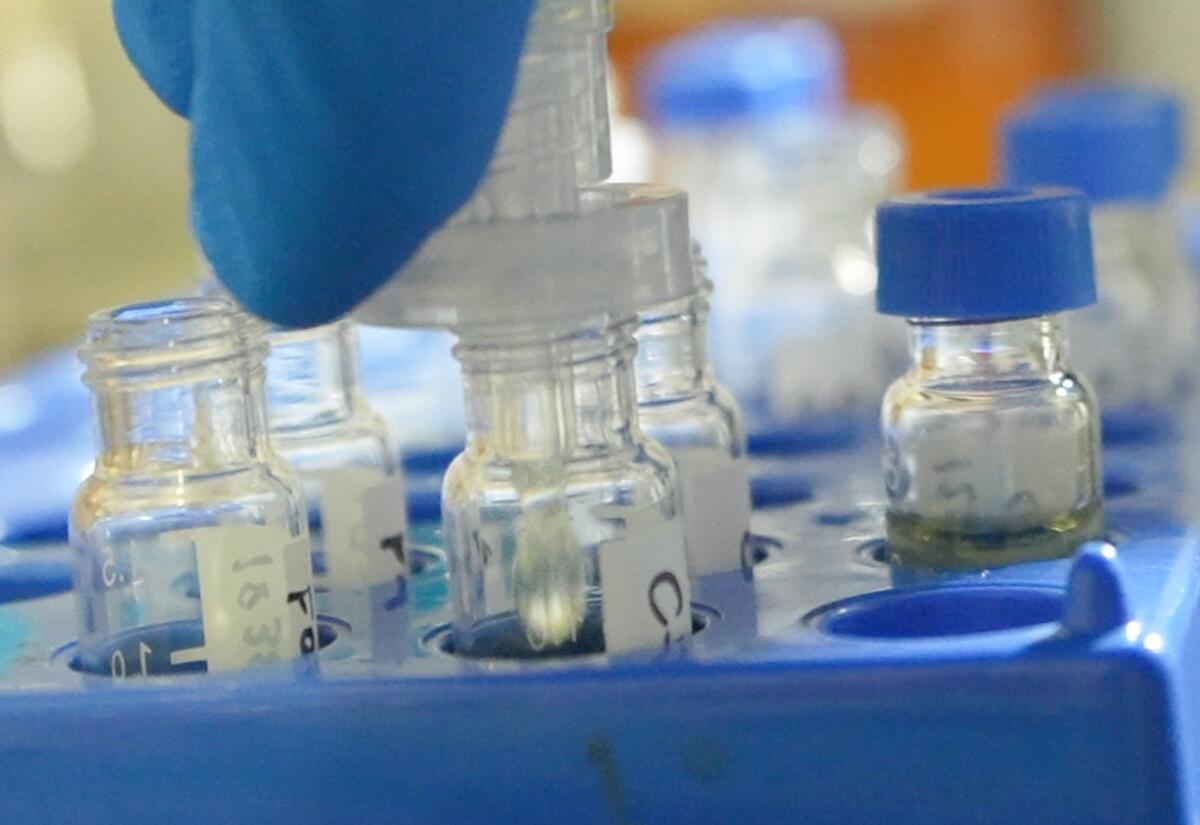 Testing of cannabis oil at a private lab.