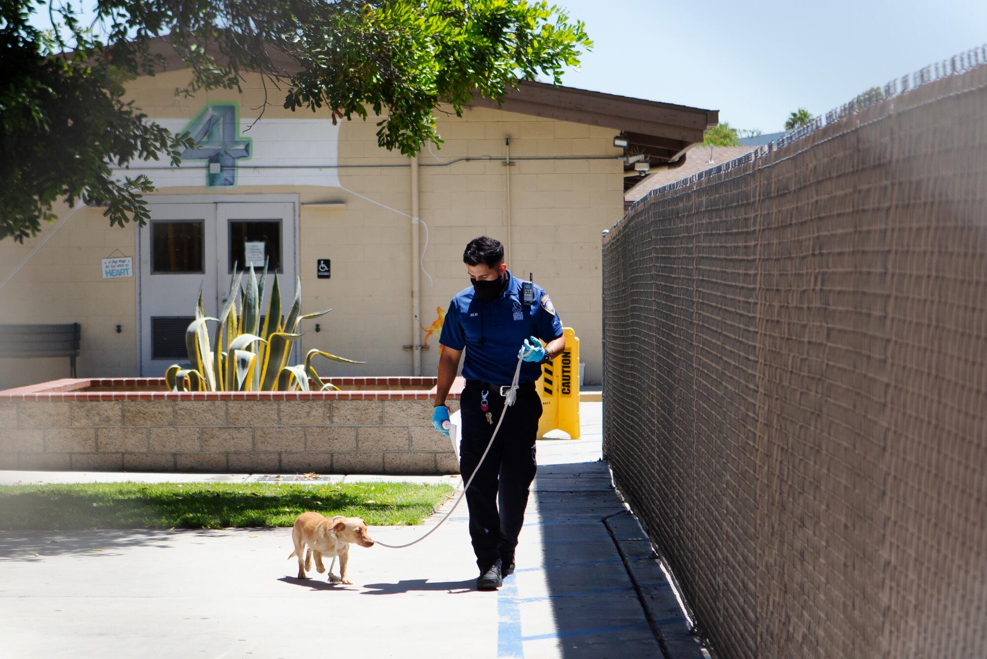 Julio Rovira looks down at a recently adopted terrier mix while walking her to her new owner, Kavar McDaniel.