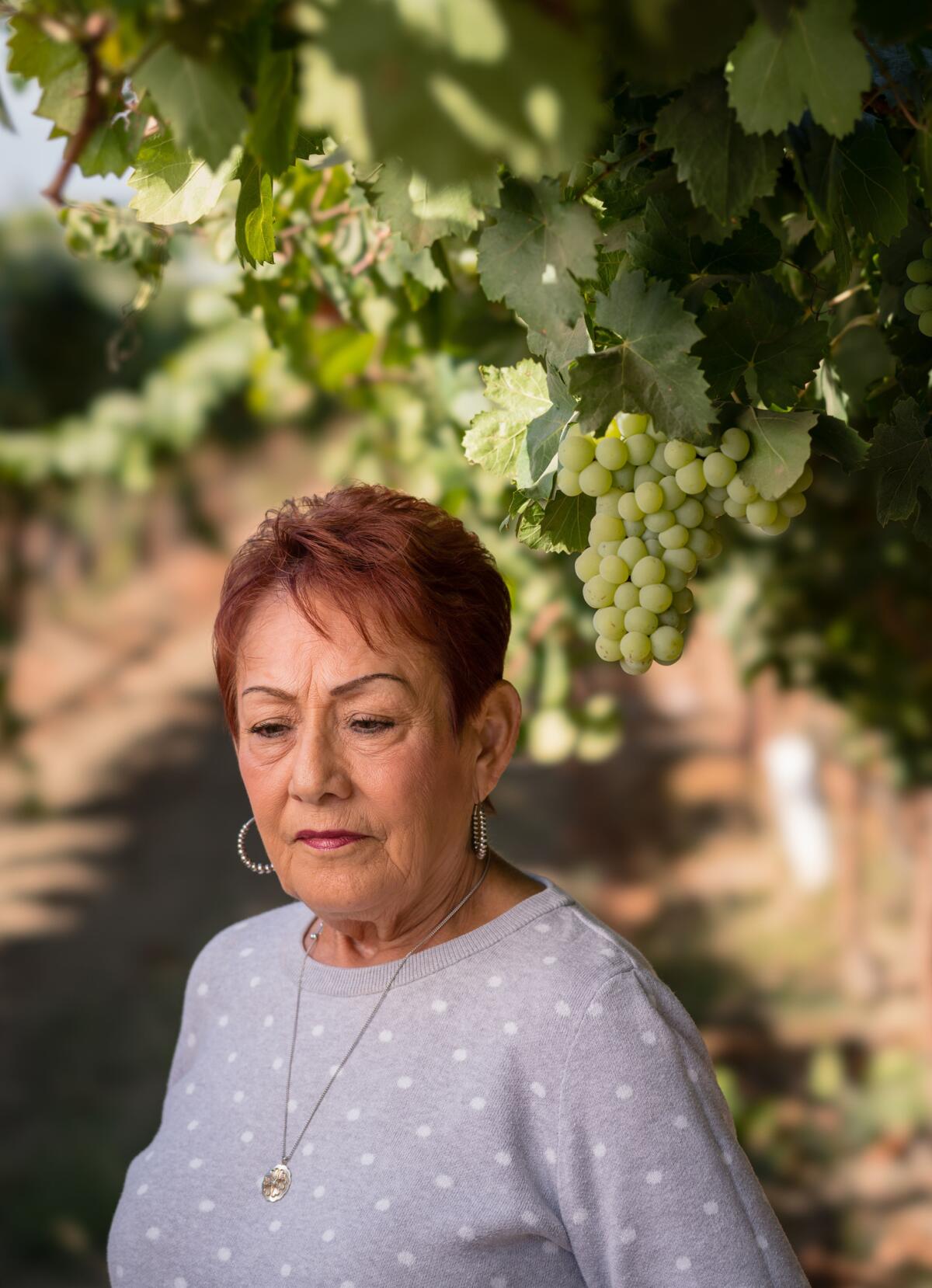 Delano Mayor Grace Vallejo picked and packed grapes in her youth.