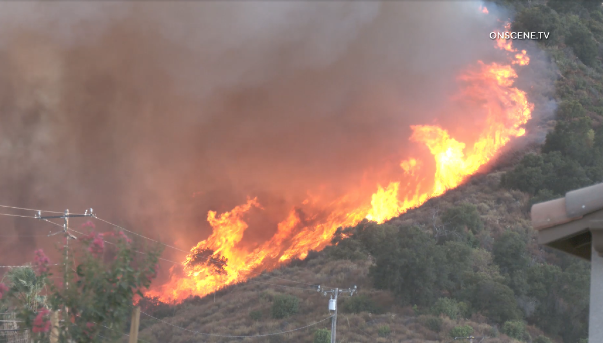 A still from video shows flames along a hillside with trees