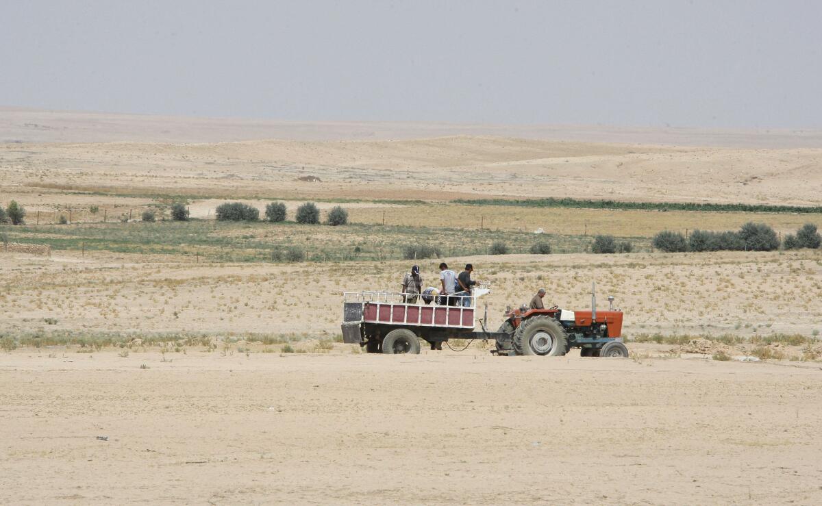 Farmers work in the drought-stricken Hasaka region of Syria in 2010. The current Syrian tragedy provides an important case study of what happens to a society under severe water stress.