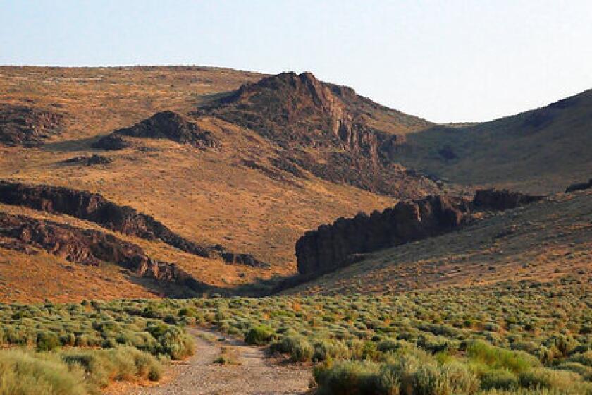 The Montana Mountains loom over Thacker Pass in northern Nevada 