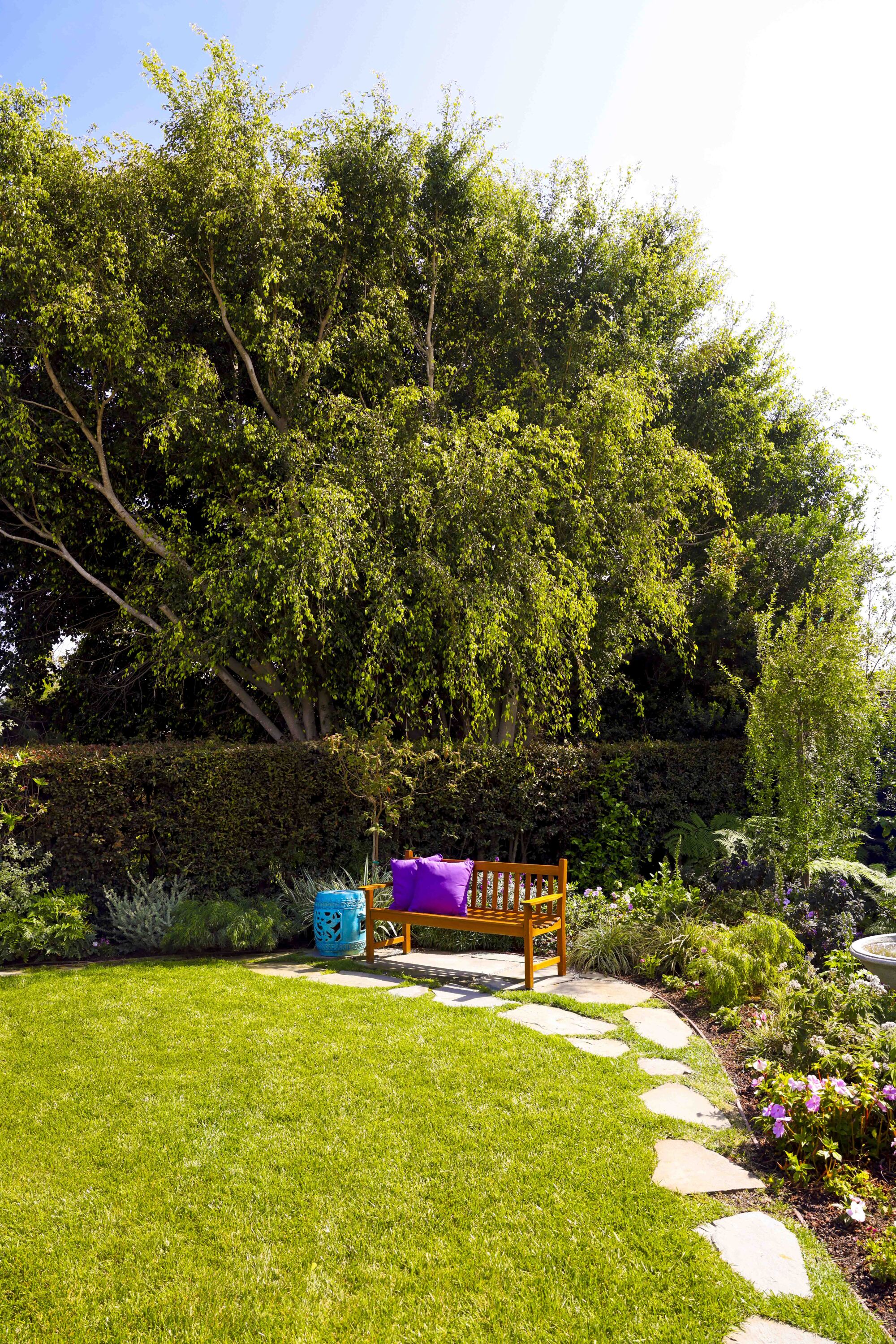 A stone path leading to a bench below a tree outlines a grass yard