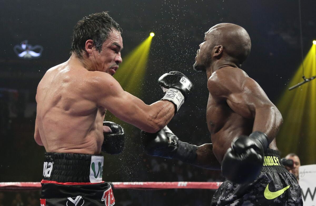 Juan Manuel Marquez connects with a right to the head of Timothy Bradley in the 11th round of their WBO welterweight title bout.