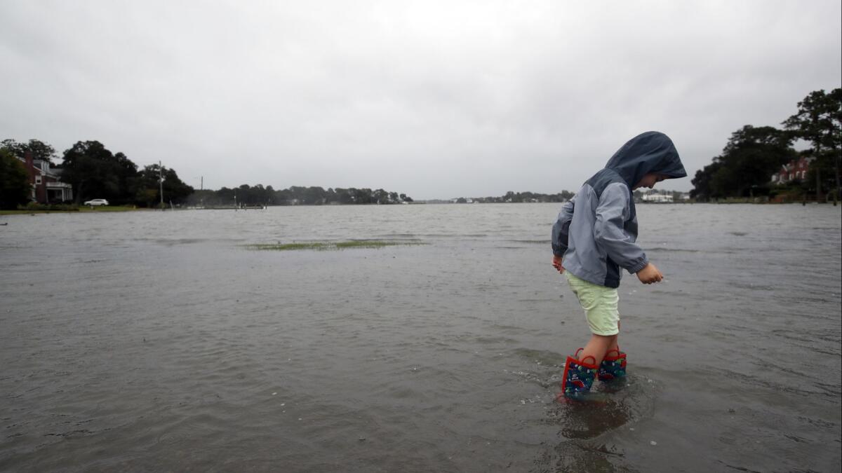 Emmett Marshall, 4, wades in floodwaters that Hurricane Florence brought to Norfolk, Va. The Centers for Disease Control and Prevention is warning people not to use stormwater for drinking, cooking or cleaning.