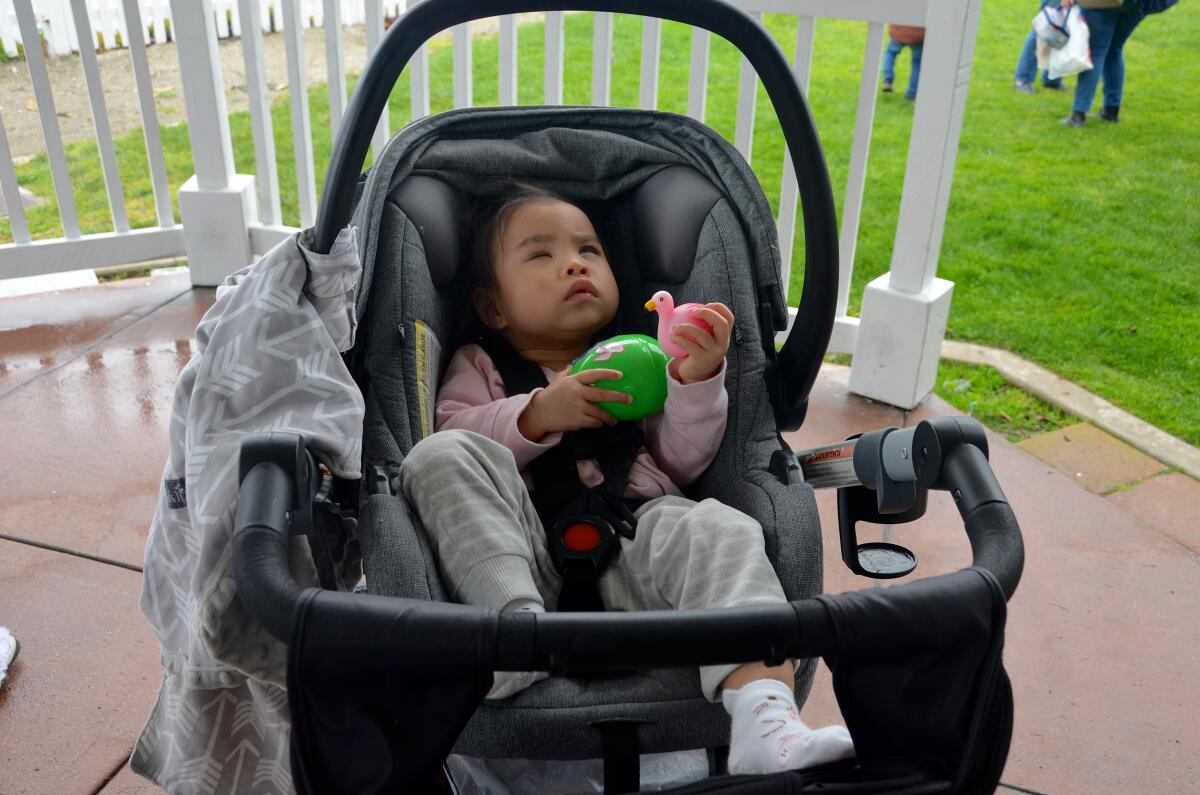 Alana Yu, 18 months, who is visually impaired, responds to a green beeper egg at the Beyond Blindness hunt.