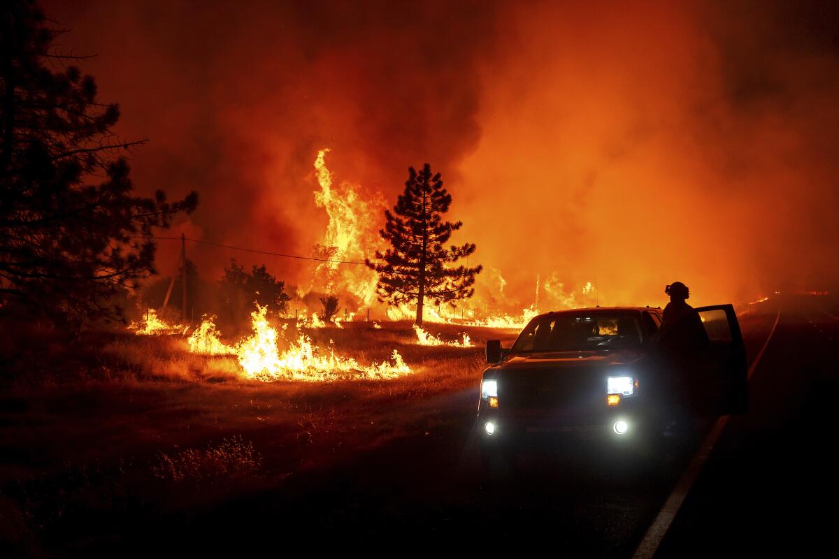 Flames burn as the Park fire jumps Highway 36 near Paynes Creek in Tehama County on Friday.