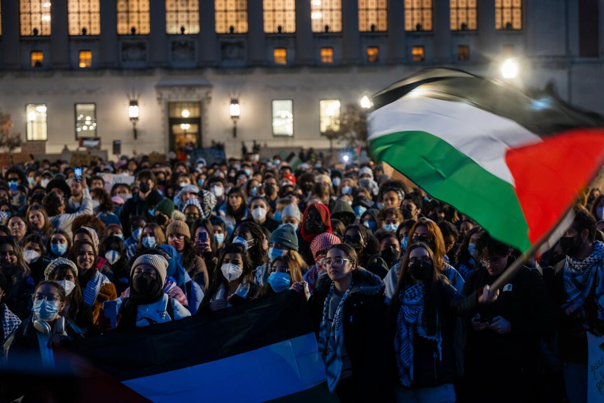 A Palestinian flag is waved at a student rally.