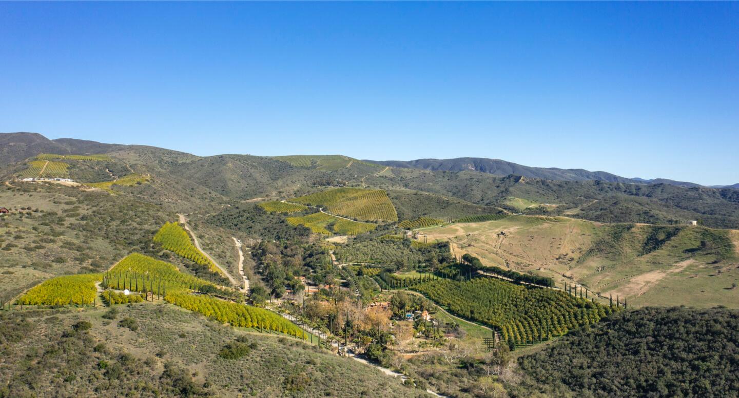 Aerial view of the estate.