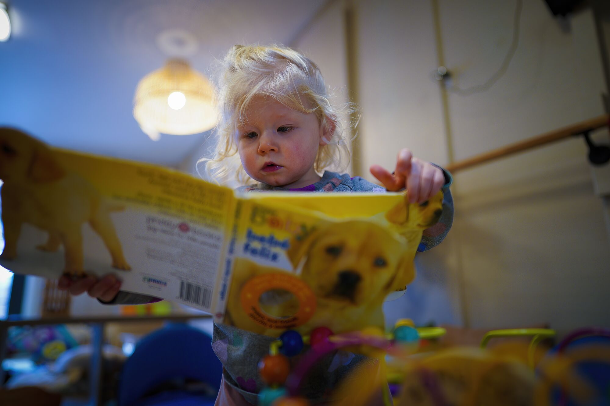 A blonde toddler turns the pages of a children's book with a dog on its cover.