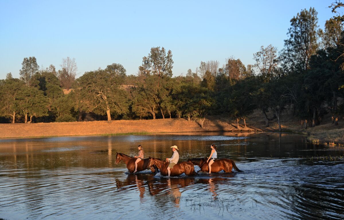 Horses and their riders cool off in a lake at the V6 Ranch in Parkfield, Calif.