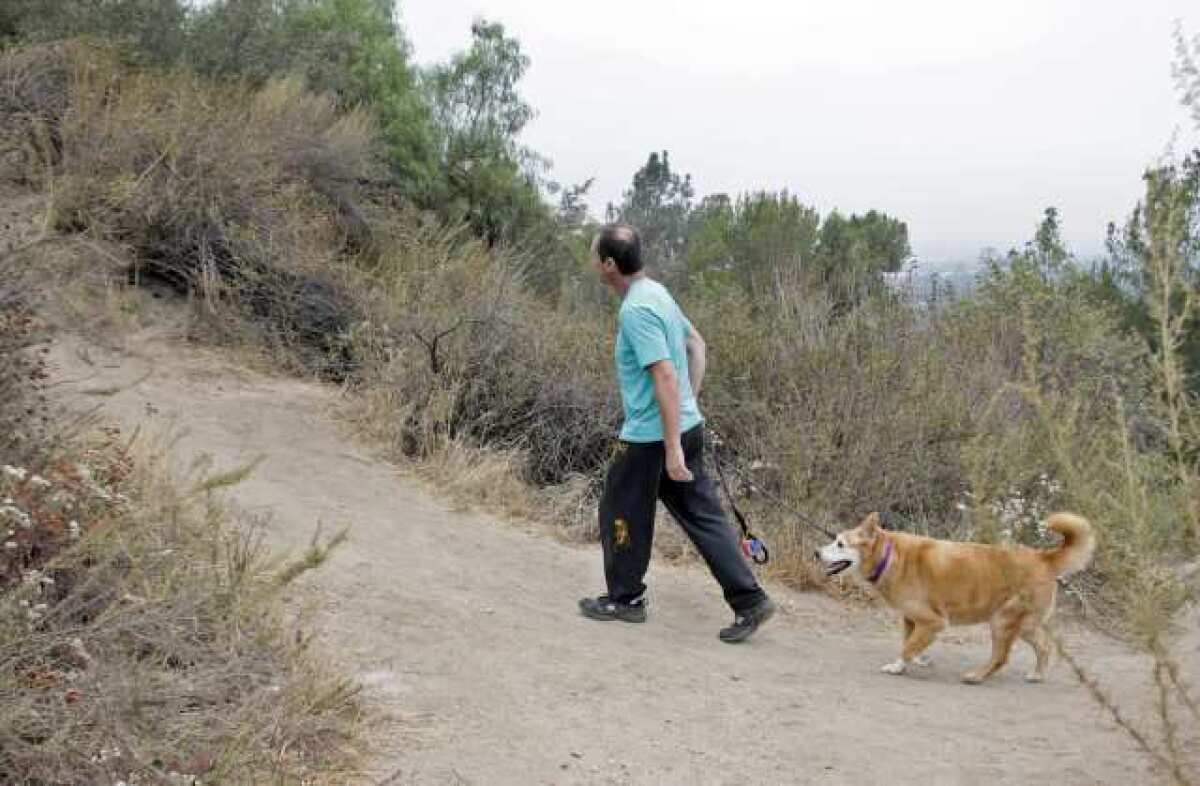 A hiker and his dog head up a trail at Brand Park in Glendale. A hiker who got lost on one of the trails Monday night had to call authorities for help.