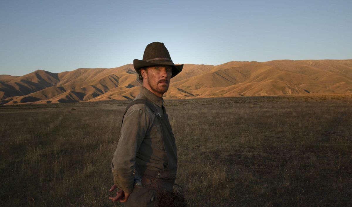 A man in a cowboy hat stands in a field, with hills in the distance.