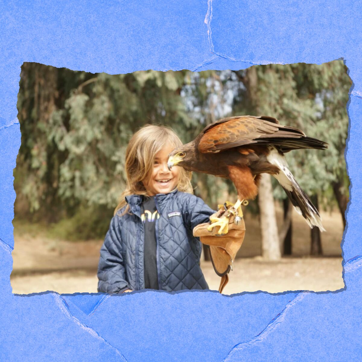 Ready for an animal encounter? Hawk on Hand brings you oh-so close.