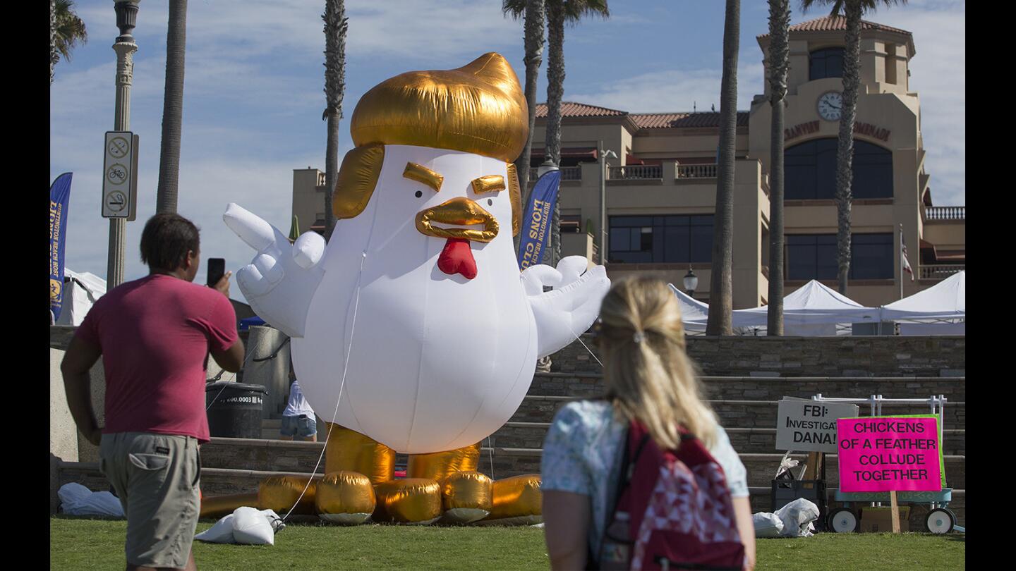 Photo Gallery: Chicken Don visits Huntington Beach