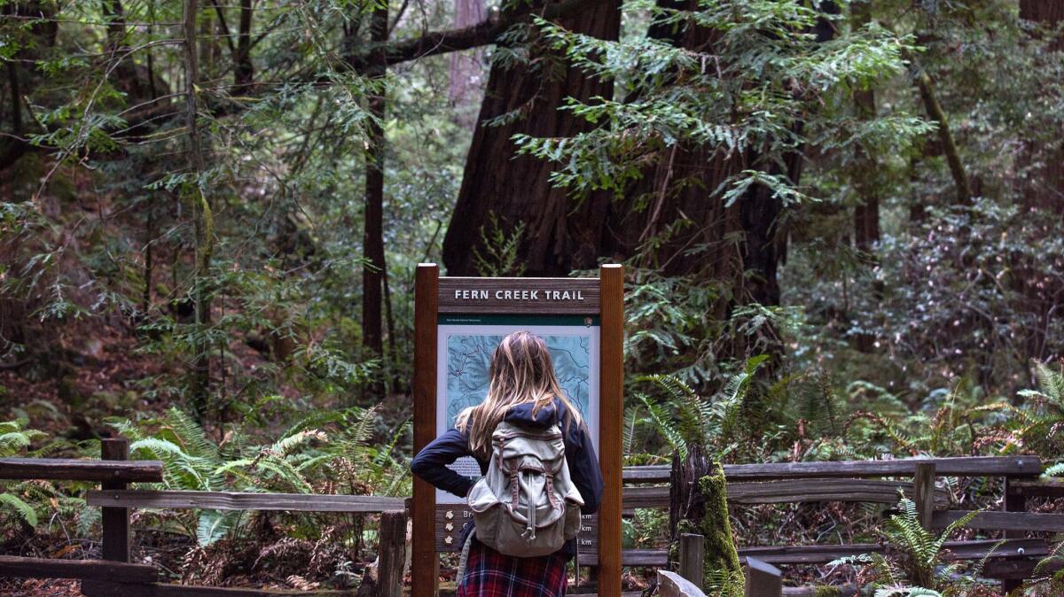 Due to overcrowding, visitors to Muir Woods National Monument will need a parking or shuttle reservation starting in mid-January.