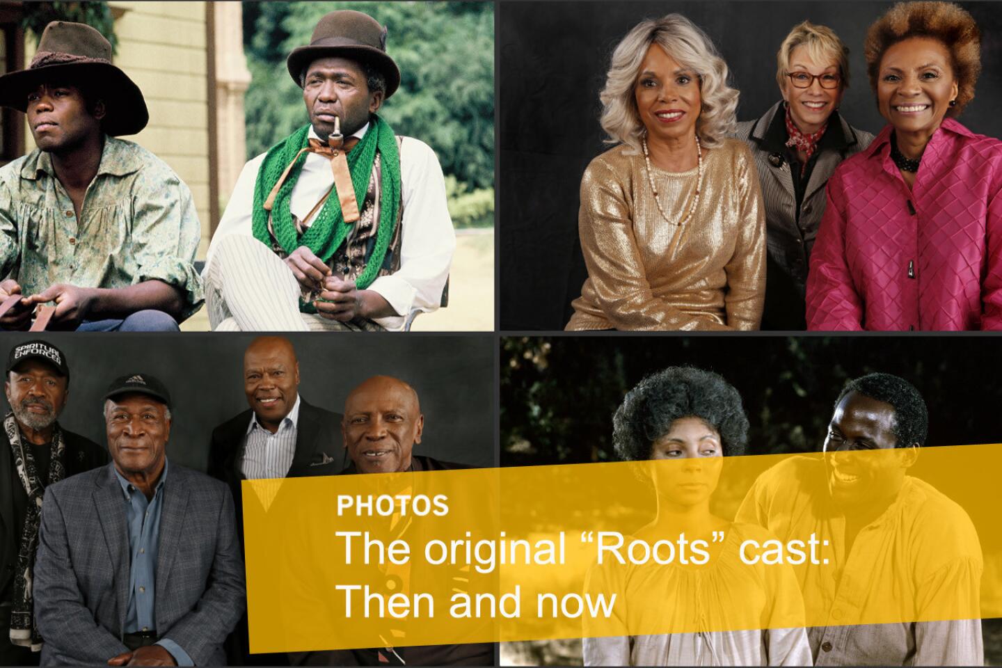 'Roots'