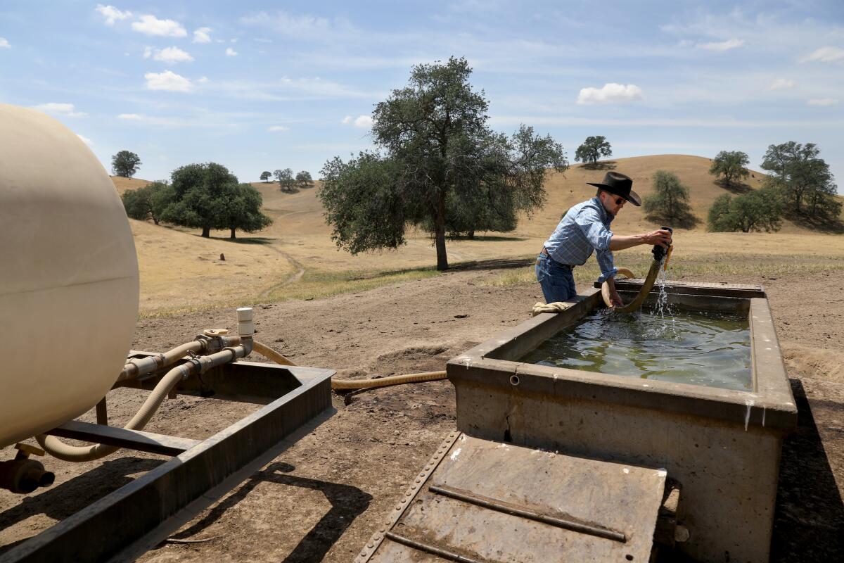 John Guthrie pumps water from a cistern into a water trailer to haul back to his ranch’s headquarters in Porterville, Calif.