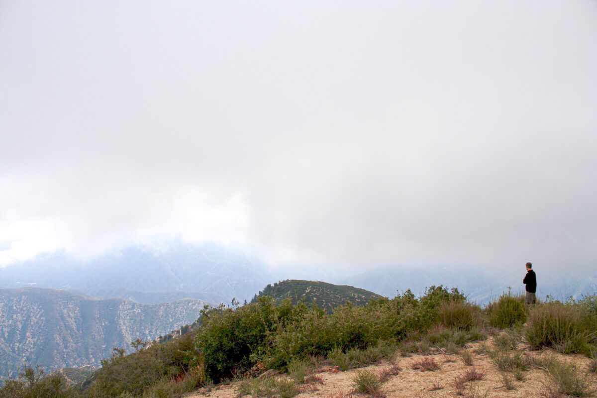 A hiker in the marine layer in the San Gabriels.