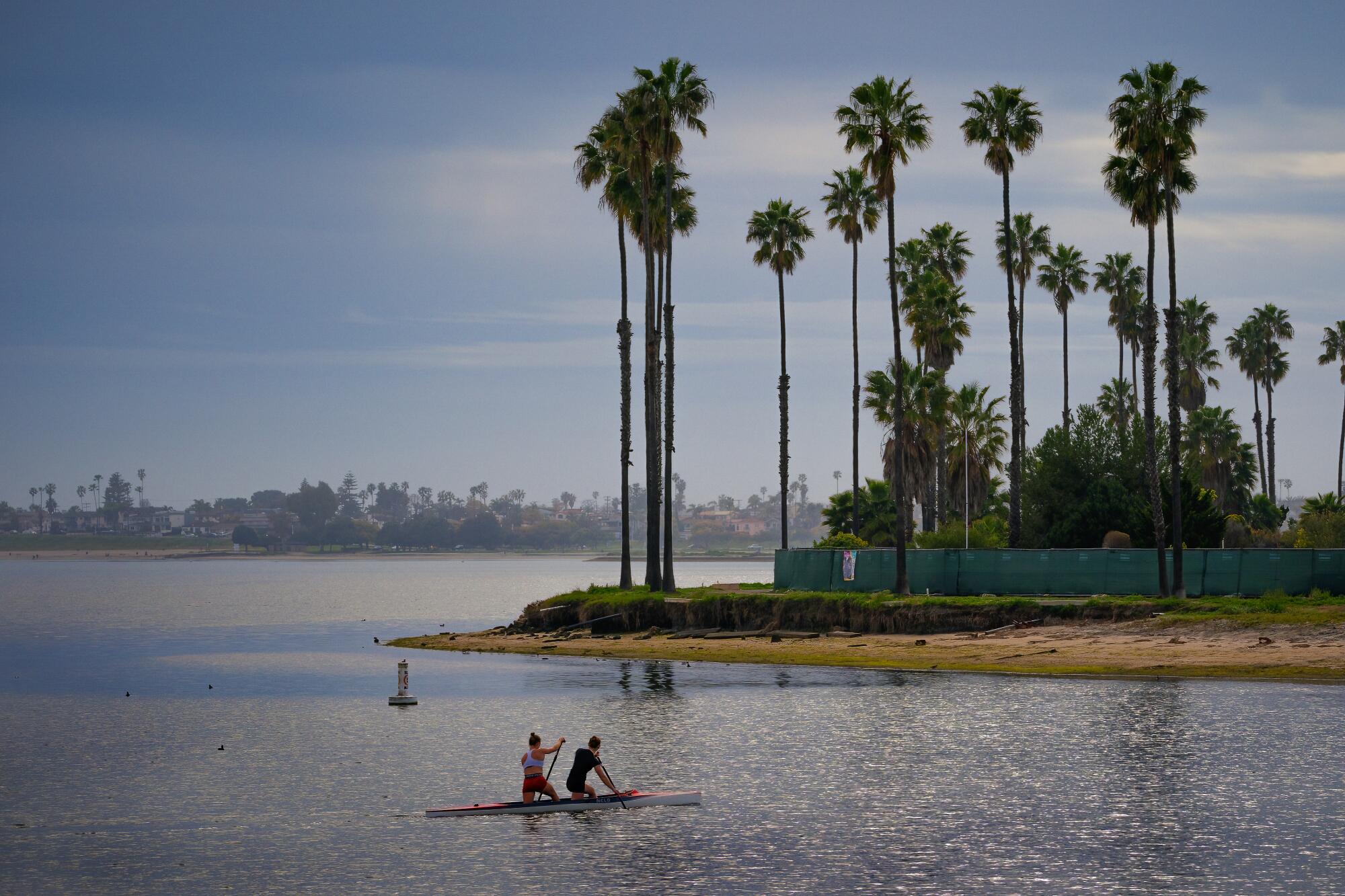 Two people paddle past a palm tree-covered promontory on a sunny bay.