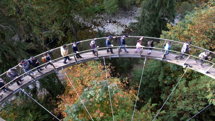 VANCOUVER, CANADA - Visitors enjoy the Canyon Lookout at Capilano Suspension Bridge Park in Vancouve