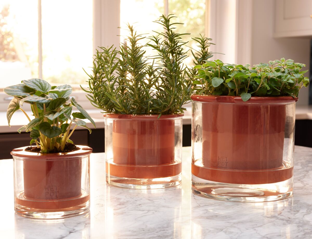 This image provided by MoMA Design Store shows Swedish company Wetpot's self-watering pot that makes sure you don't over- or under-water your plant. A terra cotta planter, available in two sizes for either a couple of smaller plants, or a potted fern, perhaps, sits inside a reservoir of hand-blown glass; fill the reservoir, and plants will take in what they need. (MoMA Design Store via AP)