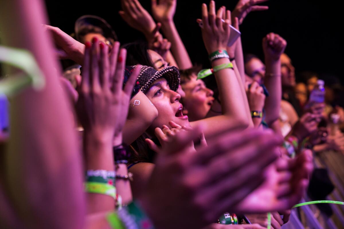 Music fans cheer at the 2015 editon of Coachella.