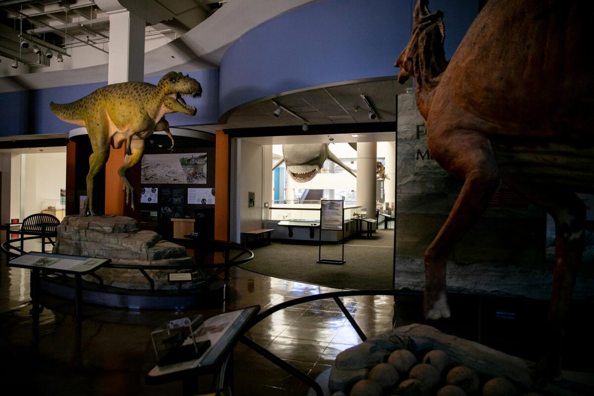 A darkened dinosaur gallery at the San Diego Natural History Museum, which sat empty on Friday