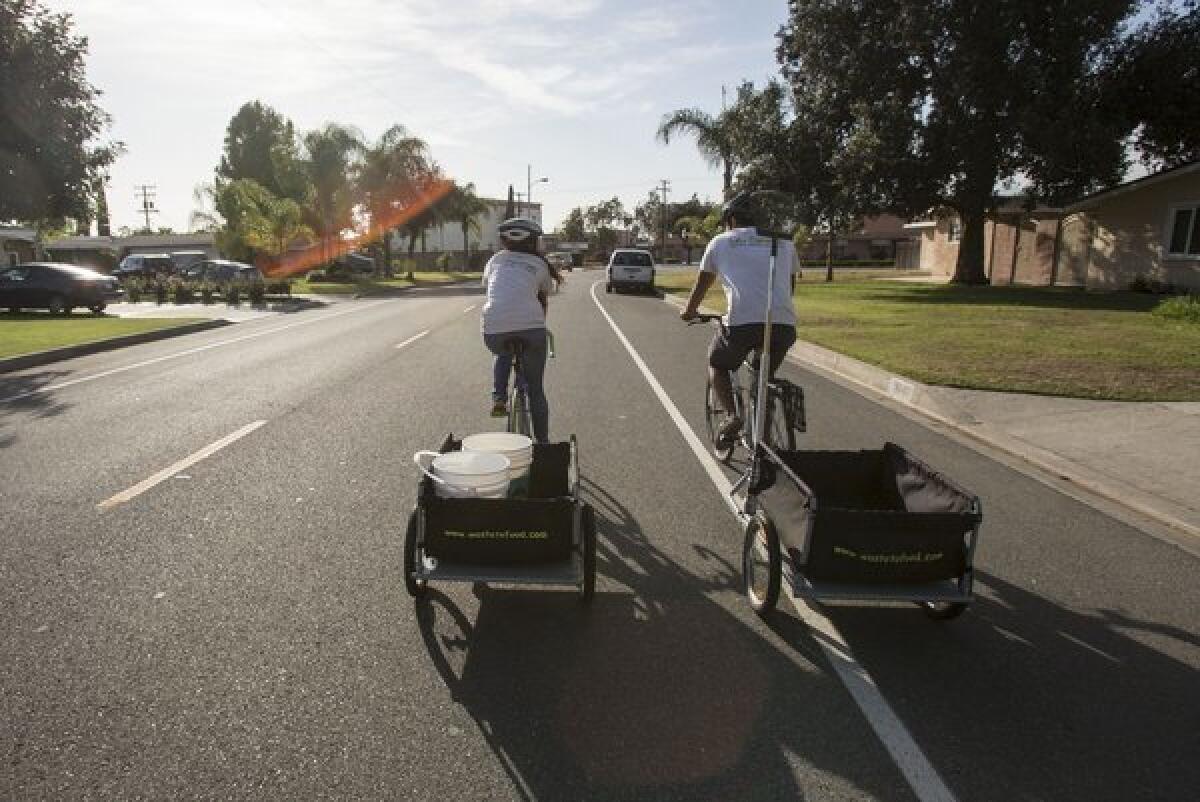 Michael Martinez and Michelle Davila make their weekly bike rounds in West Covina. Martinez is founder of a relatively new group called L.A. Compost that picks up kitchen scraps from restaurants and composts the material, ultimately to be sold as a soil amendment at farmers markets.