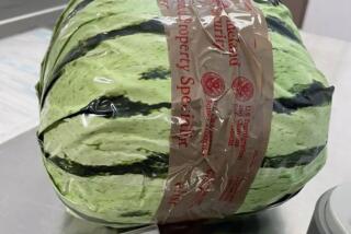 OTAY MESA, Calif. - U.S. Customs and Border Protection (CBP) officers at the Otay Mesa Commercial Facility seized more than $5 million worth of methamphetamine disguised and concealed within a shipment of watermelons last Friday, Aug. 16, 2024. (U.S. Customs and Border Protection)