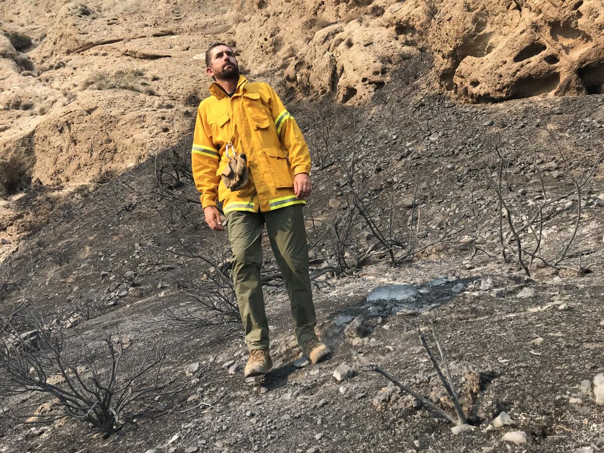 Jack Thompson surveys the fire damage at Whitewater Preserve.