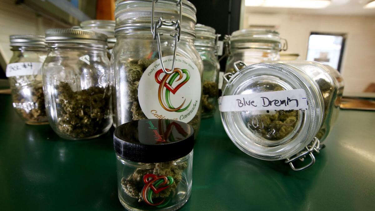 Marijuana in jars at MED X, a pot dispensary on Century Boulevard in South L.A.