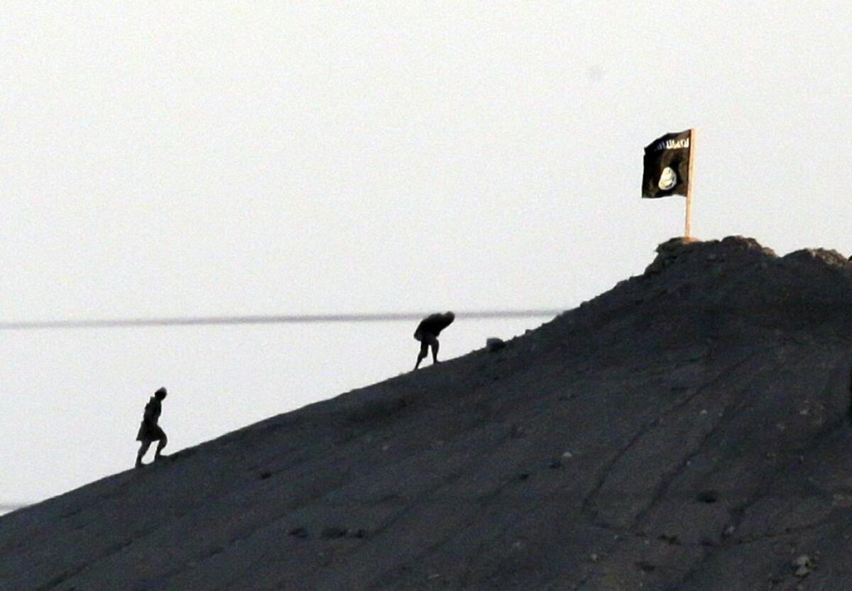 Islamic State militants are seen after placing their group's flag on a hilltop at the eastern side of Kobani, Syria.