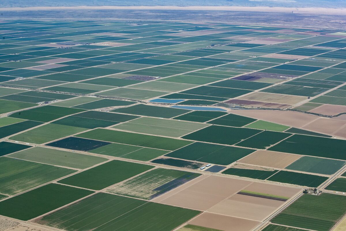 An aerial view of farmland.