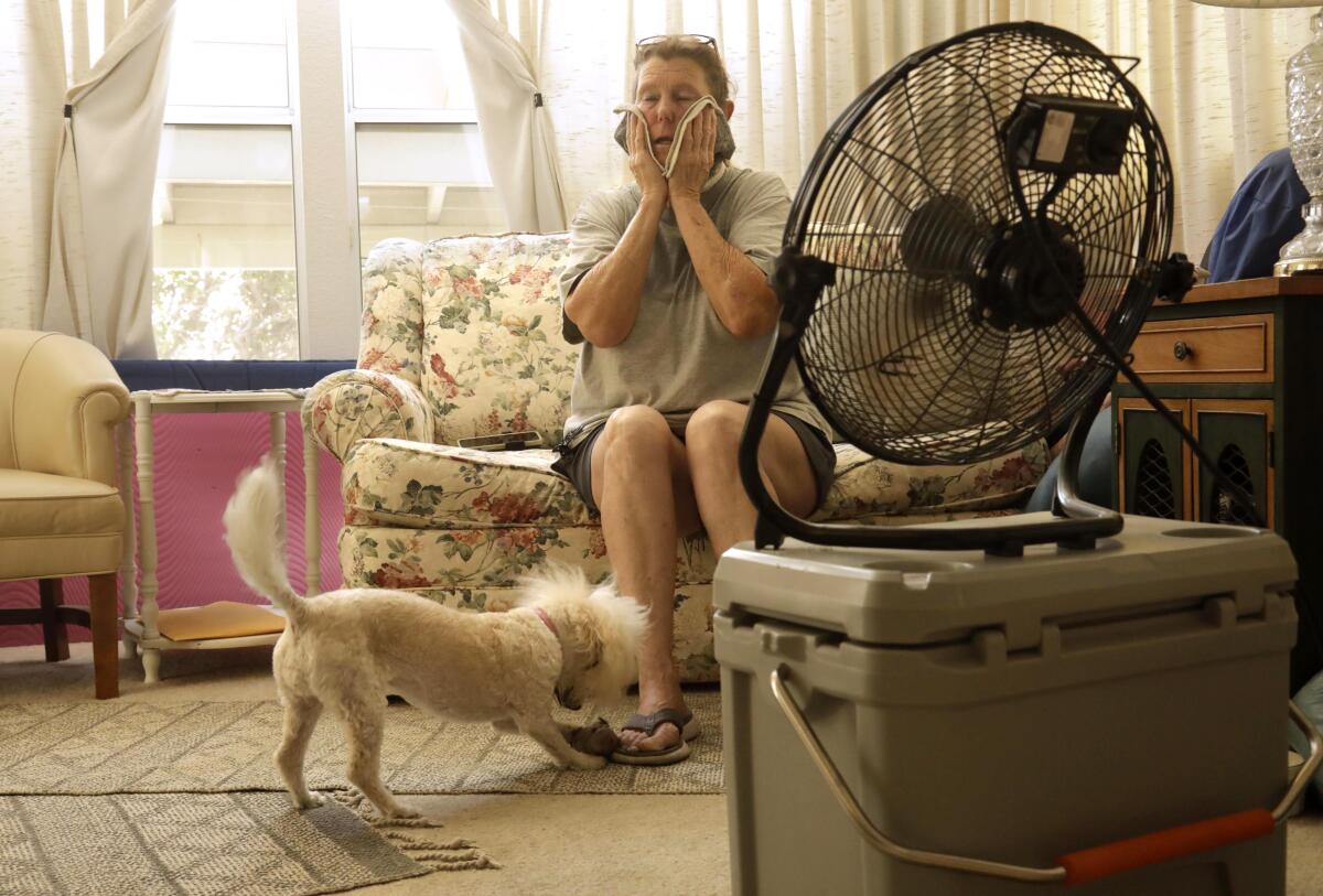 A woman sits on a sofa in front of a fan with her dog at her feet.
