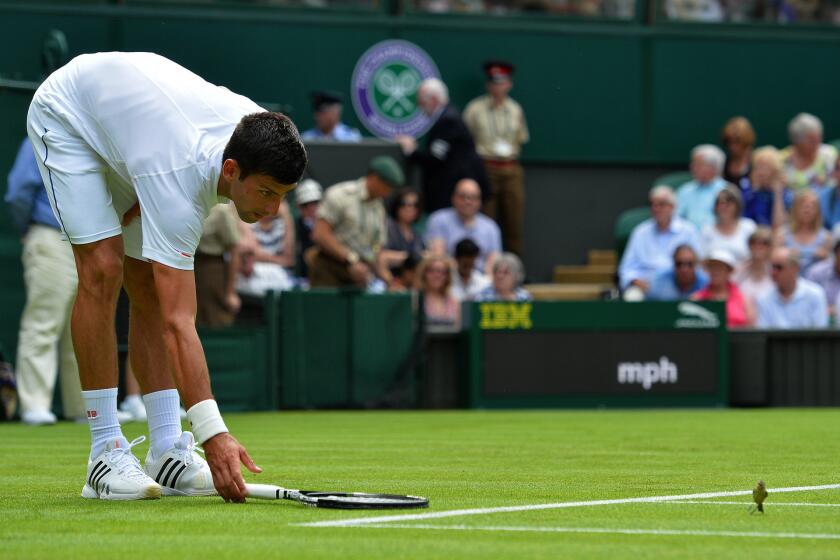 Novak Djokovic tries to shoo a bird from the court during his first round match at Wimbledon.