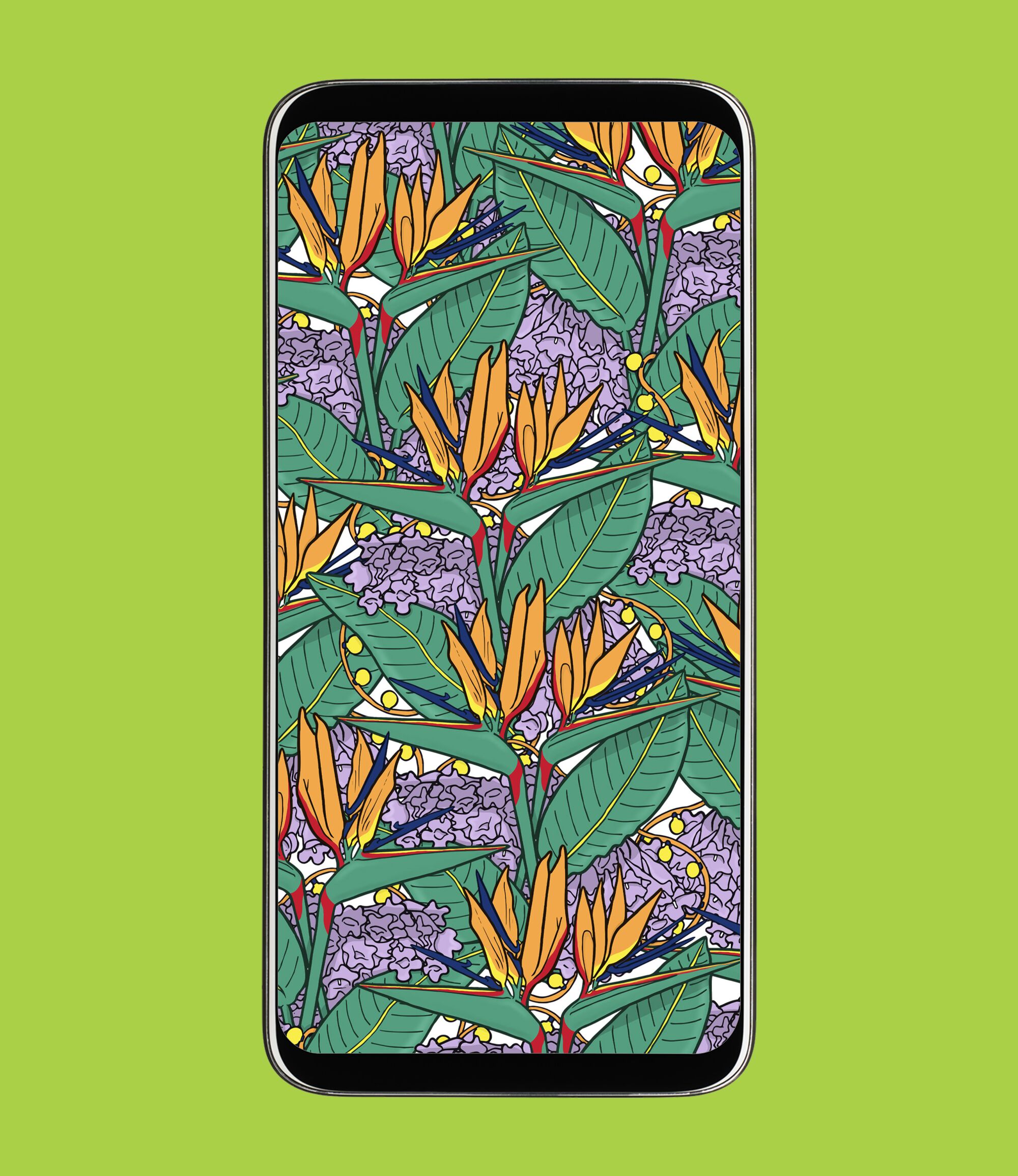 Mockup of a phone background with a birds of paradise illustration.