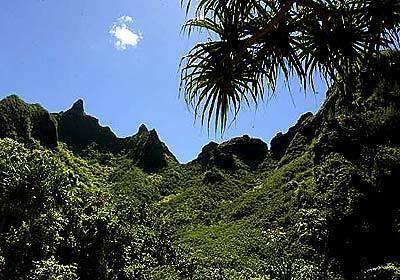 Part of the National Tropical Botanical Garden, Limahuli Garden, at the northern end of Kauai, focuses on tropical plants' conservation, research and public education.