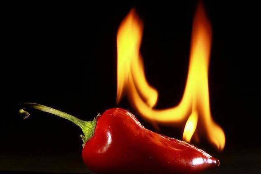 Kirk McKoy's photo shows a chile that is actually on fire.
