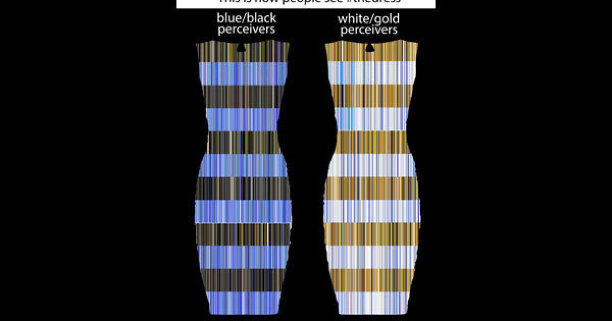 is this dress white and gold or black and blue The Dress: The Truth About ELI5:Why does this dress appear